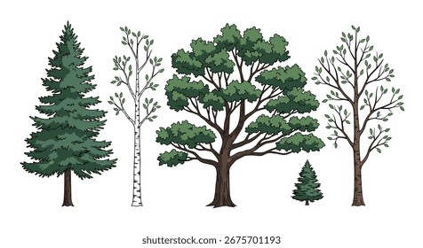 Diverse collection of trees representing different species and seasonal stages of growth