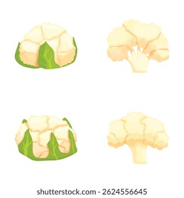Diverse collection of vector cauliflower illustrations on white background, perfect for healthy food, nutrition, cooking, vegan and vegetarian recipes, and culinary design projects