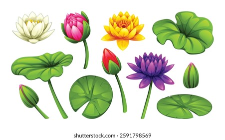 Diverse collection of water lilies in different colors and stages of bloom, along with leaves. Vector cartoon illustration