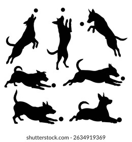 Diverse dog poses captured as silhouettes, focused on playful interaction with a ball.