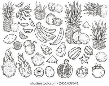 Diversa y exquisita colección dibujada a mano de frutas tropicales en ilustración en blanco y negro, incluyendo piña, plátano, limón, granada, aguacate, kiwi, fruta del dragón.