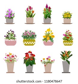 Diverse Flowers In Pots, Isolated On White Background