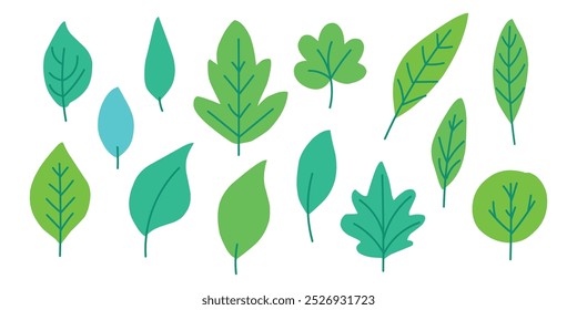 diverse green leaf collection for botanical studies