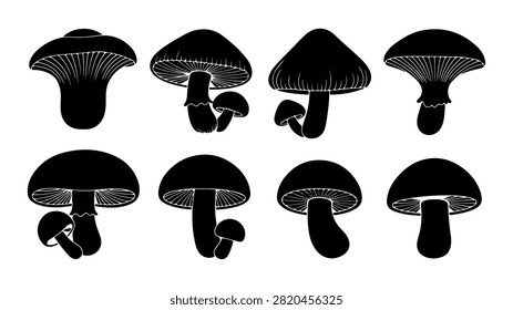 A diverse group of black mushrooms showcasing different cap shapes and stem structures, ideal for nature and fungi-related themes.