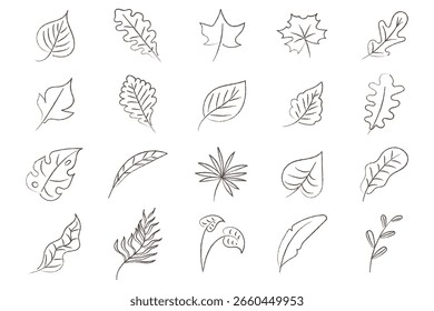 Diverse Hand Drawn Botanical Leaf Line Art Collection