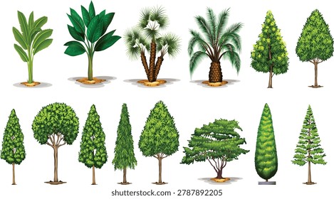 Diverse Illustrated Tree and Plant Collection