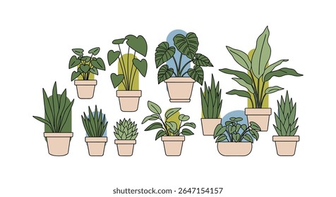 Diverse Indoor Potted Plants Collection for Home Decor