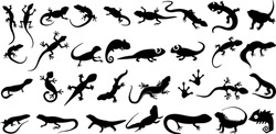 Diverse Lizard Silhouettes Vector Illustration. Ideal For Reptile Enthusiasts, Includes Gecko, Chameleon, Iguana, Salamander, Skink, Monitor, Anole, Komodo Dragon, Bearded Dragon, Frilled Lizard