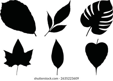Diverse Nature Leaf Silhouettes Vector Collection Botanical Design Elements

