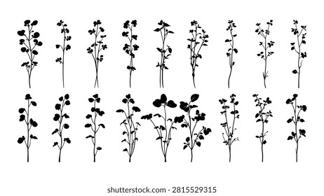 Diverse plant silhouettes showcasing different shapes and sizes in a monochrome style, emphasizing botanical diversity and natural forms.