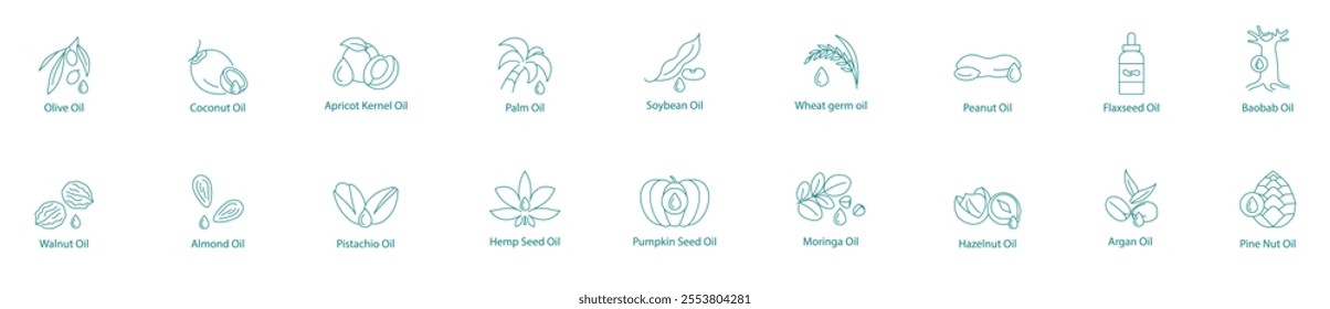 Diverse Premium Oils Vector Icon Set
Olive, Coconut, Apricot Kernel, Palm, Soybean, Wheat Germ, Peanut, Flaxseed, Baobab, Walnut, Almond, Pistachio, Hemp, Pumpkin, Moringa, Hazelnut, Argan, Pine Nut