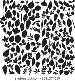 a diverse range of plant and leaf designs, perfect for botanical-themed projects. The refined details and organic aesthetics make it ideal.