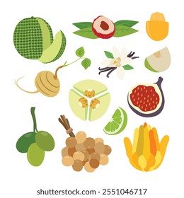 A Diverse Selection of Delicious Fresh Fruits