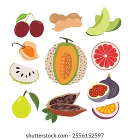 A Diverse Selection of Delicious Fresh Fruits