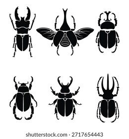 Conjunto diverso de ilustraciones de silueta de especies de insectos escarabajo