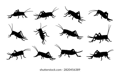 A diverse set of black insect silhouettes including ants, beetles, and other bugs, showcasing different poses and movements.