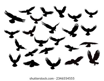  A diverse set of flying owl silhouettes in various positions. Suitable for Halloween, wildlife, or fantasy themes.