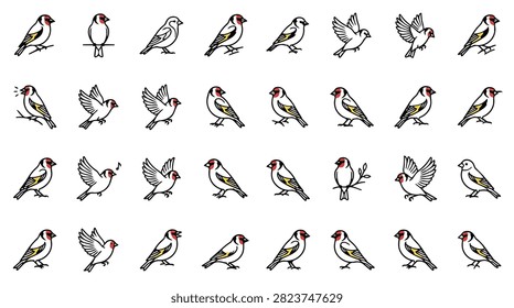 A diverse set of hand-drawn illustrations featuring small birds in different natural postures and actions.