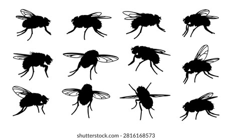 A diverse set of insect silhouettes including flies, bees, and wasps, showcasing different wing positions and body shapes in black on a white background.