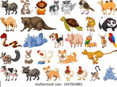 Diverse set of isolated animals on white illustration