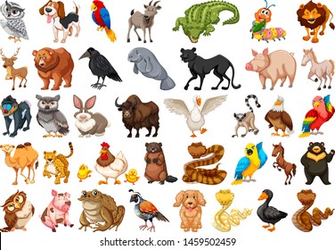 Diverse set of isolated animals on white illustration