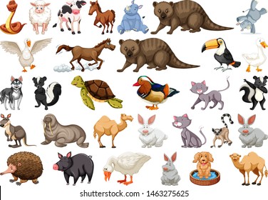 Diverse set of isolated animals on white illustration