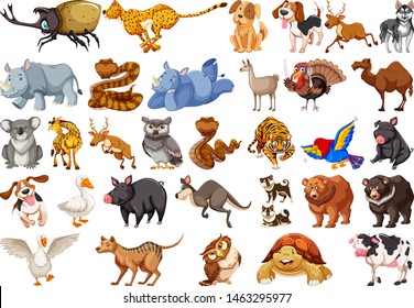 Diverse set of isolated animals on white illustration