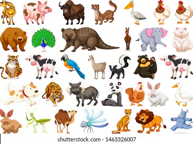 Diverse set of isolated animals on white illustration