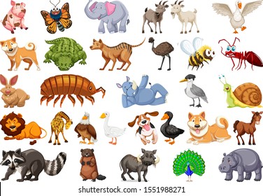 Diverse set of isolated animals on white illustration