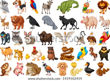 Similar – Image, Stock Photo chicken run Animal Pet