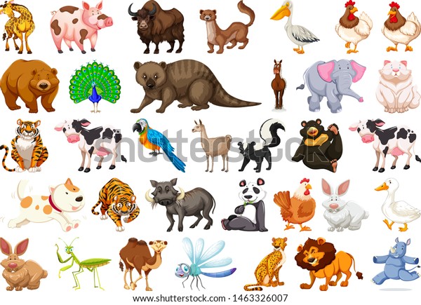 Diverse Set Isolated Animals On White Stock Vector (Royalty Free ...