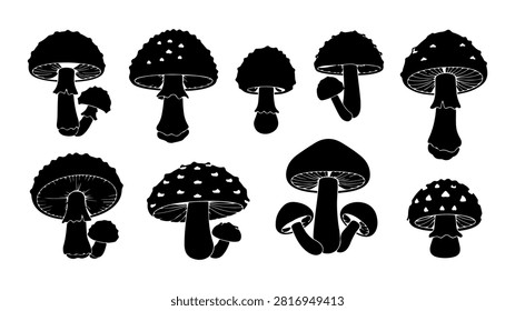 A diverse set of mushroom silhouettes showcasing different shapes and sizes, emphasizing natural fungi variety in a monochrome style.