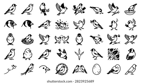 A diverse set of simple line drawings depicting various bird species in different actions and poses, including flying, perching, and nesting.