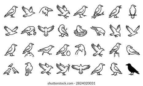 A diverse set of simple line drawings depicting various bird species in flight, perched, and nesting.