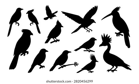 Diverse silhouettes of birds showcasing various species in flight and perched, emphasizing natural bird behaviors and elegant shapes.
