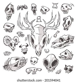 Diverse Skulls and Bones Set. In the EPS file, each element is grouped separately. Isolated on white background.