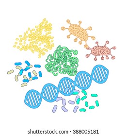 The Diverse Structure Of Protein Molecules, Schematically Simplified. Elements For Illustrations And Info Graphics. In Vector On White Background.