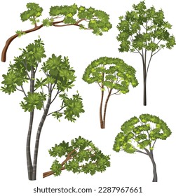 Diverse Trees Vector Set illustration