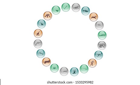 Diversity of life forms. Life evolution illustration vector design. Animals icons