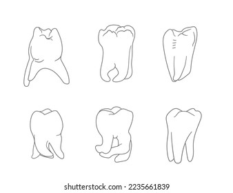 Diversity of molar teeth roots shapes. Hand drawn icons set.