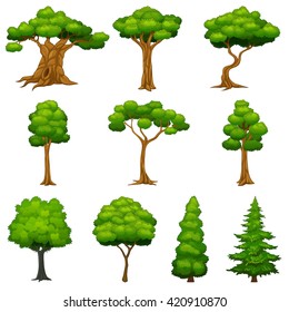 Diversity of trees set