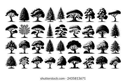 Diversity of trees set on background white