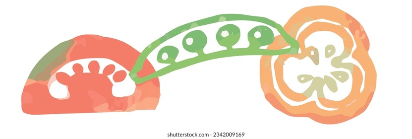 Divider with vegetables. Watercolor. Vector illustration.