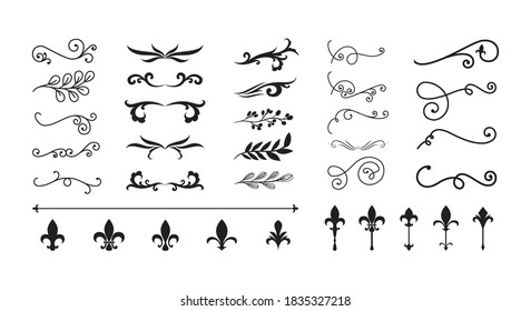 dividers ornaments line style icon collection design of Decorative element theme Vector illustration