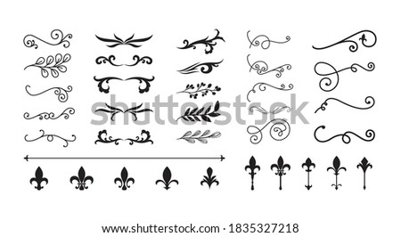 dividers ornaments line style icon collection design of Decorative element theme Vector illustration