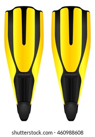 Diving flipper on a white background.