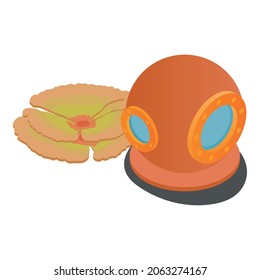 Diving gear icon isometric vector. Old vintage diving helmet and soft coral icon. Equipment for retro dive, concept sport and recreation