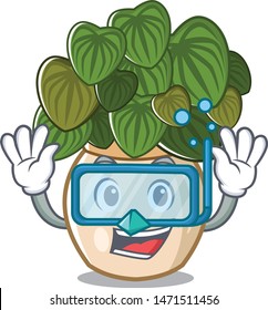 Diving peperomia isolated within in the character