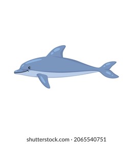 Composición de dibujos animados de buceo con submarinismo con imagen de ilustraciones vectoriales de peces delfines