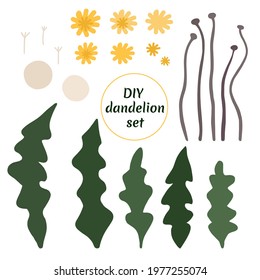 DIY dandelion set. Isolated images of flowers, stems, leaves and seeds. Flat style vector flowers.